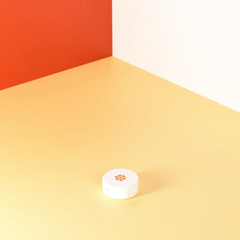 Circle Fake Pops™